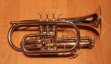 Cornet 2.JPG